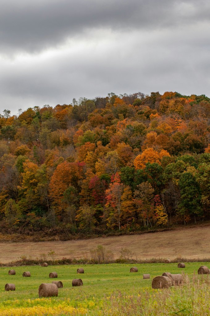 Ohio