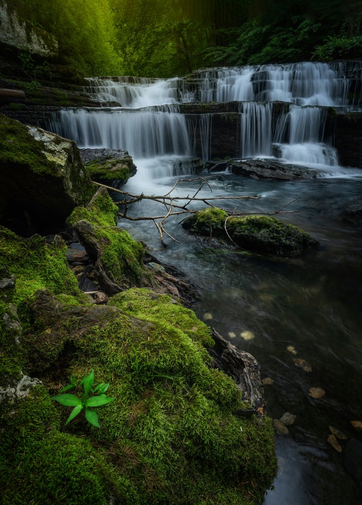 Tennessee